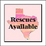 Rescue Dogs Available